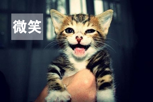 用心感受世界，因活着而幸福(图1)