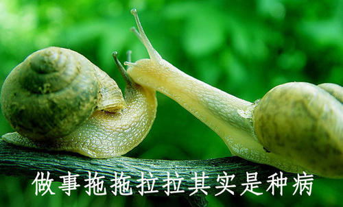 拒绝拖延从今天开始，明天会更好(图4)