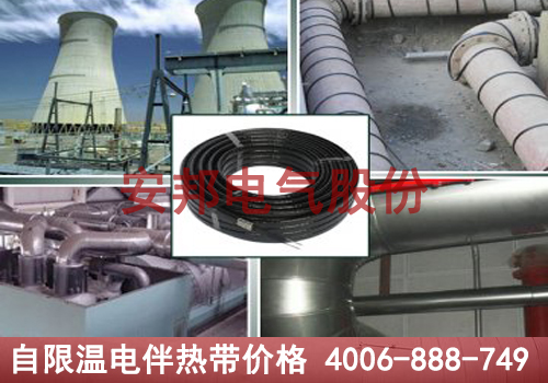 自限温电草莓视频网址下载带价格揭秘
