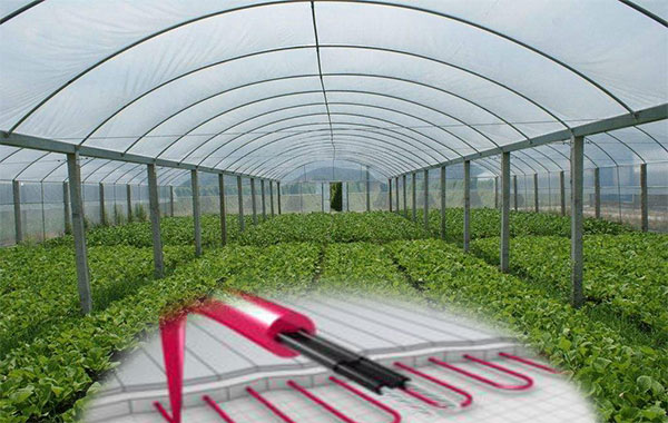 植物栽培电草莓视频网址下载带保温促生长