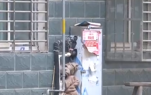 自来水管道保温电草莓视频网址下载带，冬季管道防冻新宠(图2)