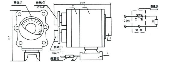 电草莓视频网址下载BJW51防爆温度控制器(图2)
